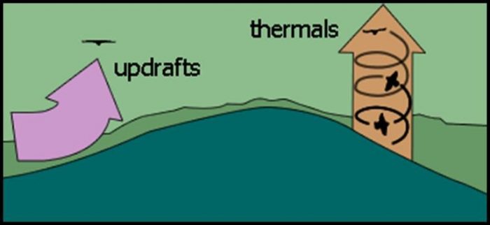 Diagram of updrafts and thermals.
