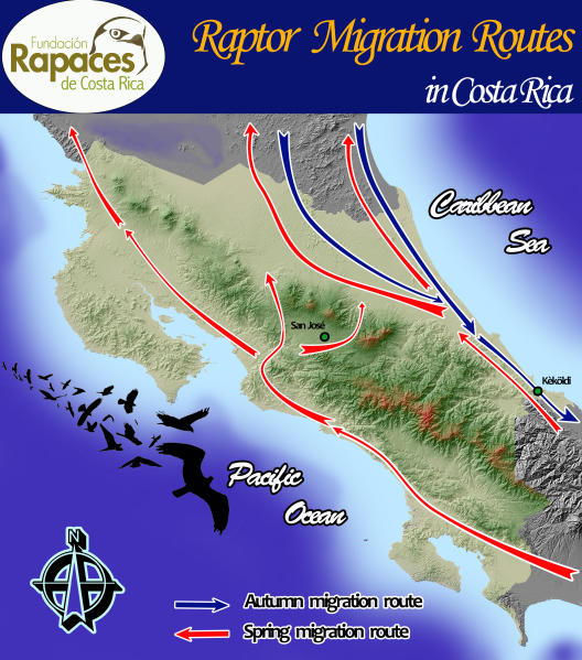 Map of raptor migration routes in Costa Rica