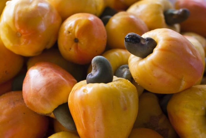 Cashew fruit and seed