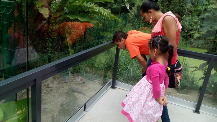 Jimmy Vega Jiménez and his family check out the crocodiles.