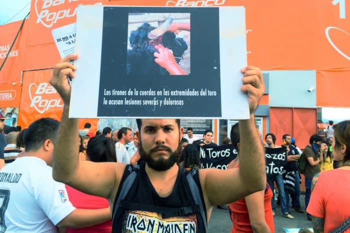 Manifestación contra las corridas de toros en Zapote.  28 de diciembre de 2015.
