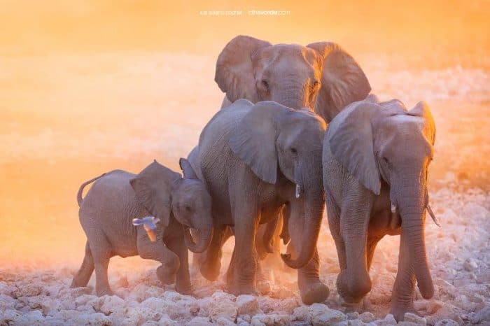 Namibia