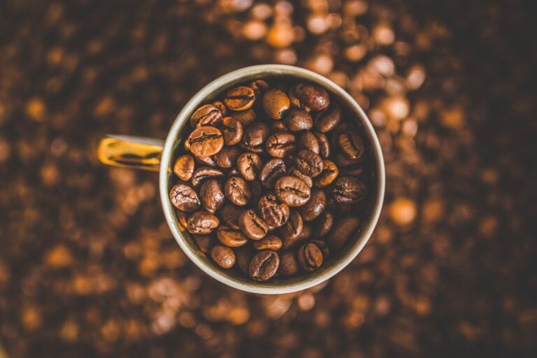 Nicaragua’s El Porvenir Coffee Coop Building a Sustainable Future
