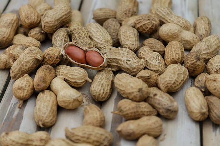 Growing Peanuts in Costa Rica