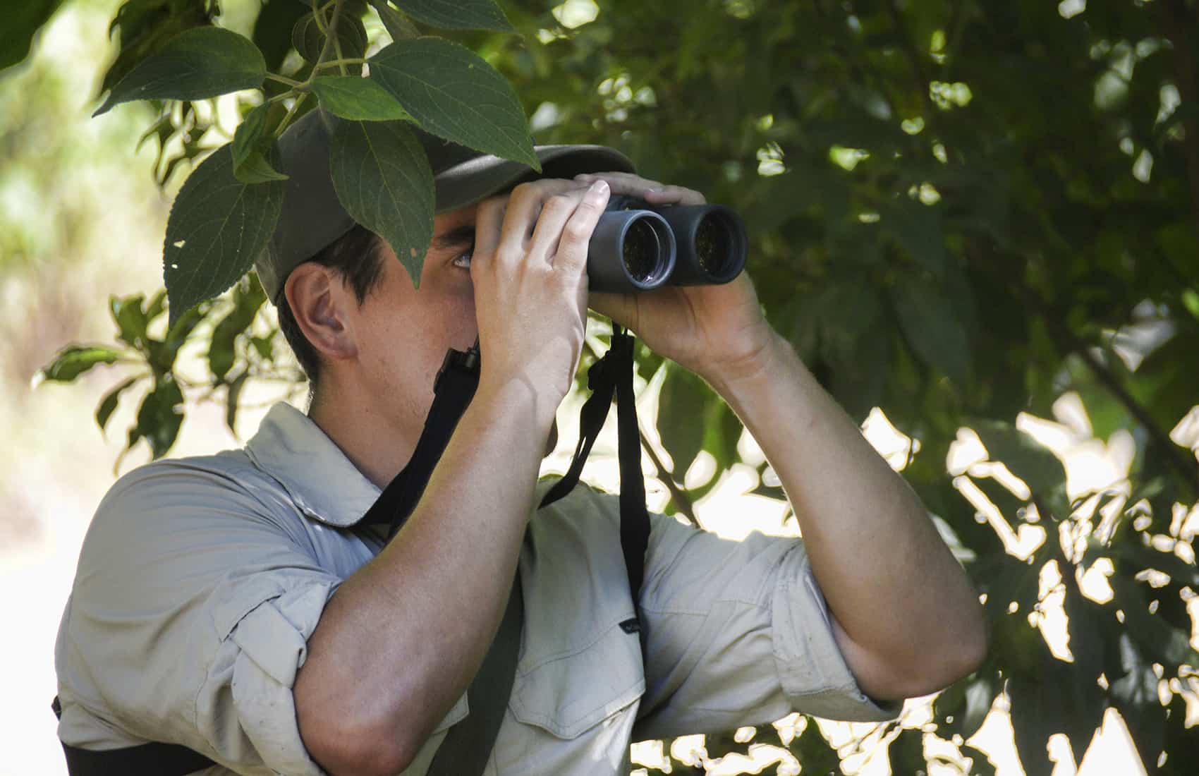 Quetzal Birdwatching in Costa Rica