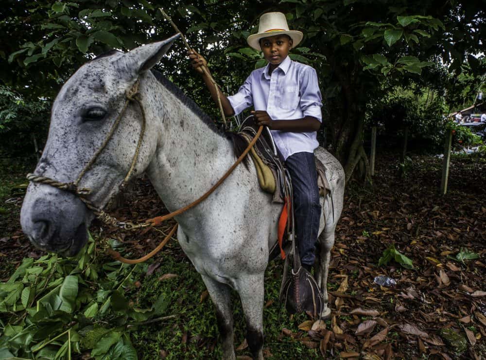 Close-up of a horse adorned with Rasta-themed accessories at the Rasta Tope in Puerto Viejo