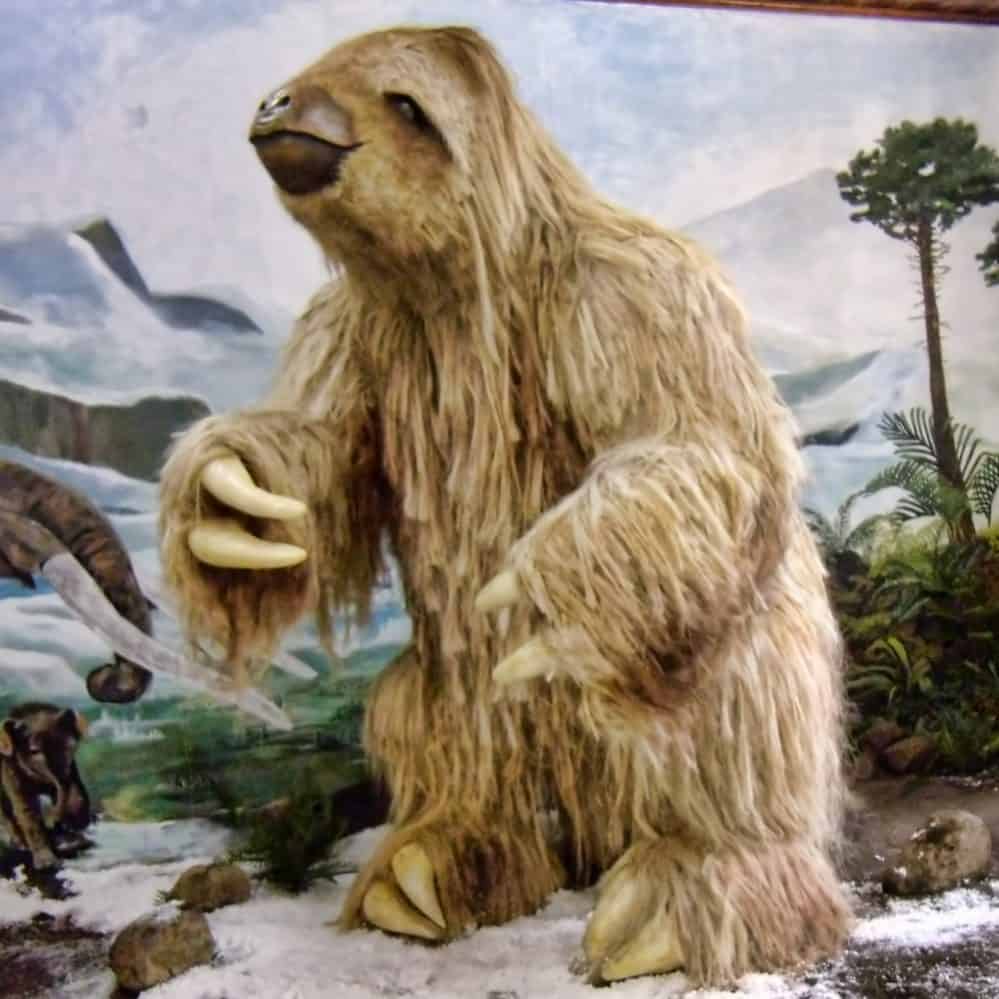 giant ground sloth