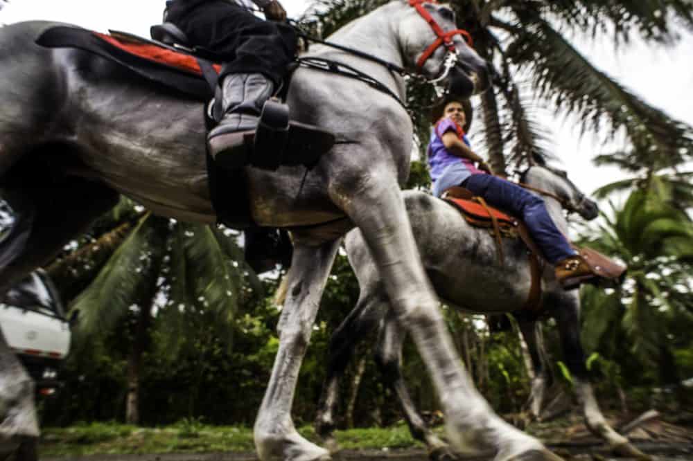 A group of horses and riders preparing to join the Rasta Tope parade.