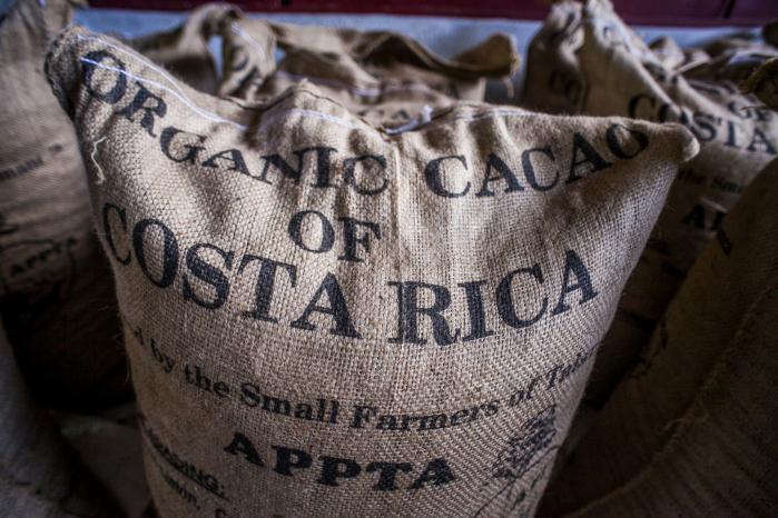 Organic Cacao of Costa Rica