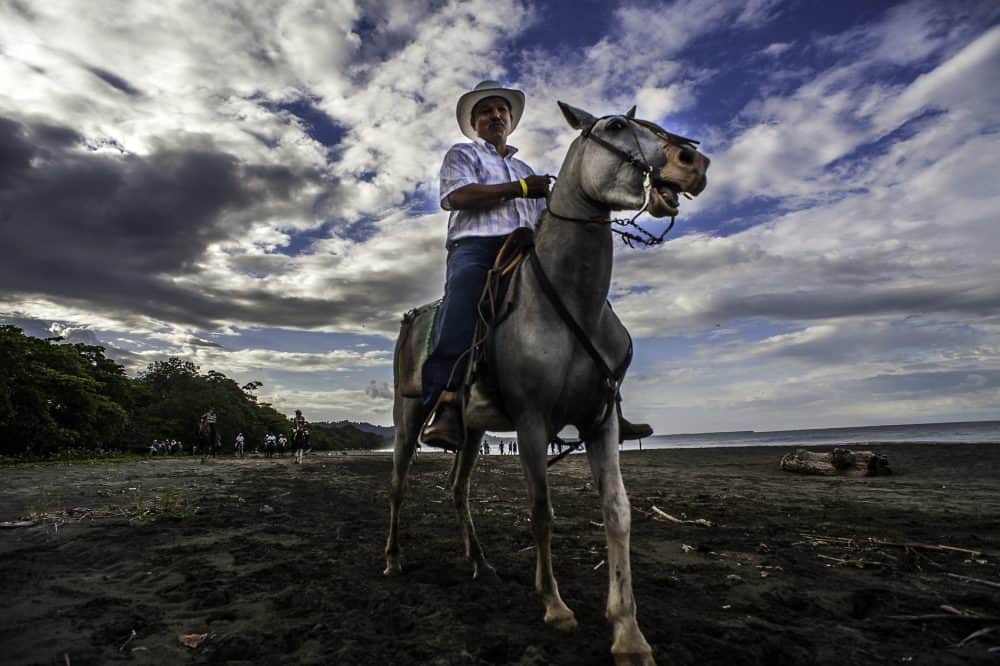 A horse and rider preparing to join the Rasta Tope parade.