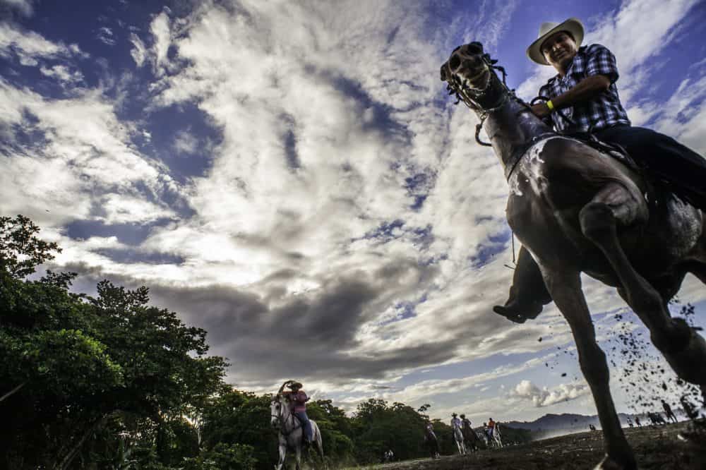 Rider performing stunts on horseback during the Rasta Tope parade