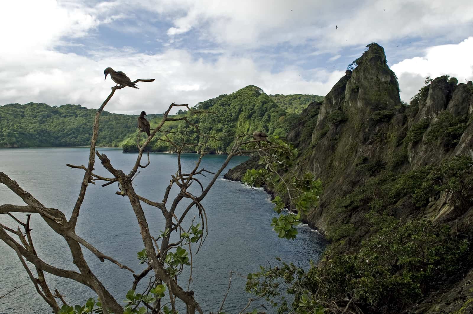 Cocos Island Costa Rica