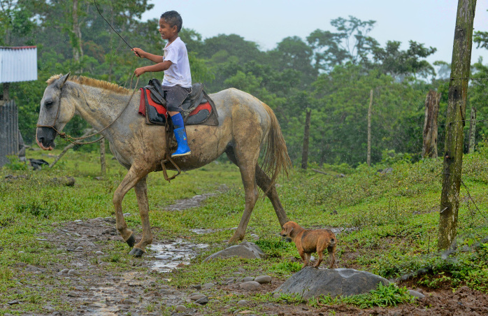 Costa Rica Farmers Kid and His Dog