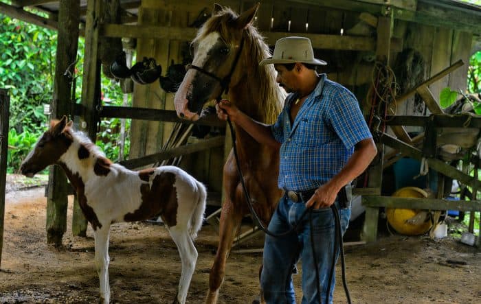 Farmer in Costa Rica