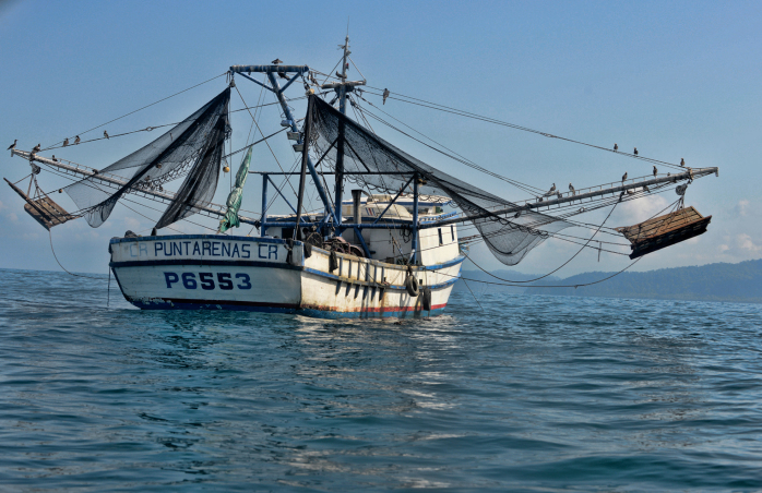 Costa Rica shrimp trawling