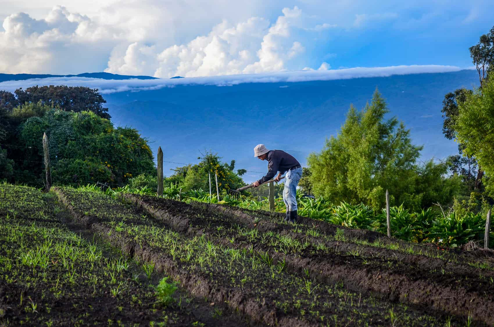 Costa Rica Farmers