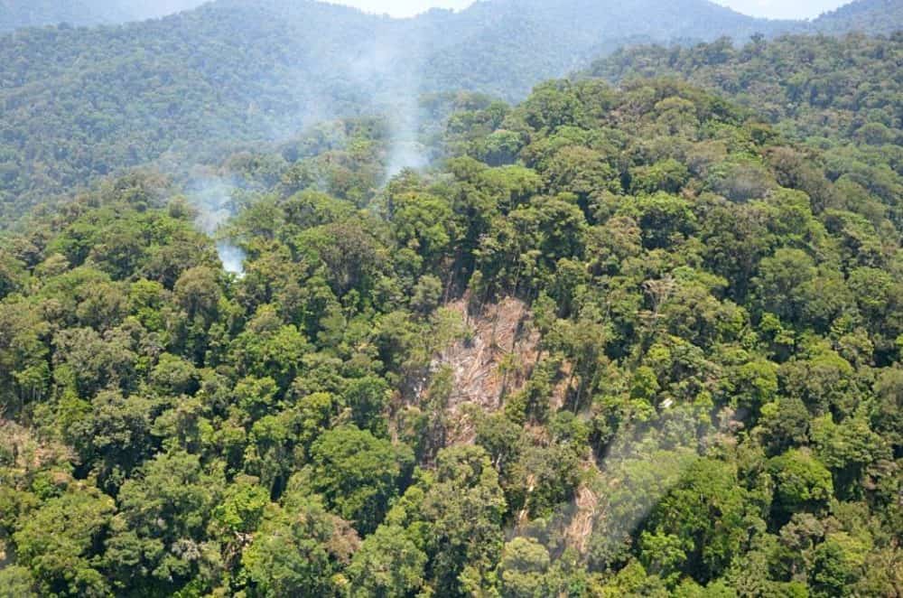 Forest fire spreads to Chirripó National Park