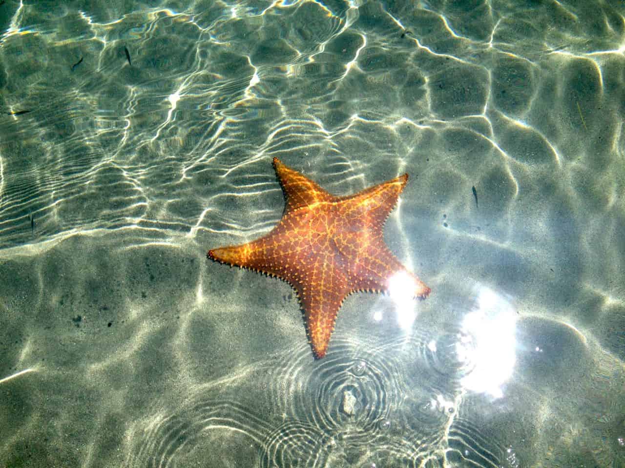 Clearest Water in Costa Rica