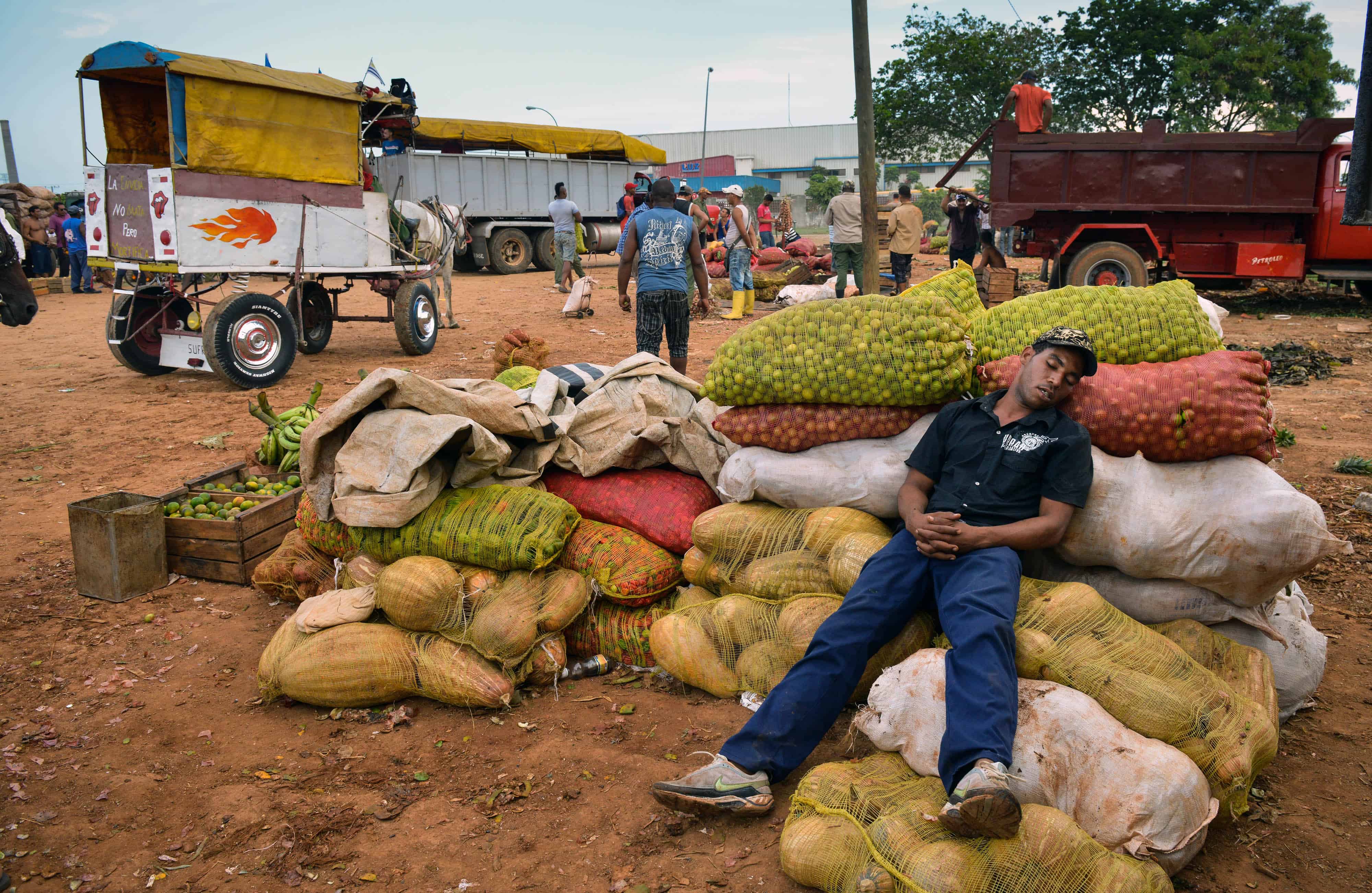 A fruit and vegetable farmer rests as he waits for buyers at a wholesale market in Havana.
