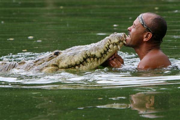 El cocodrilo más famoso de Costa Rica: