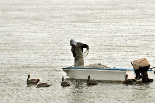 Illegal fishing strains Gulf of Nicoya fishing communities