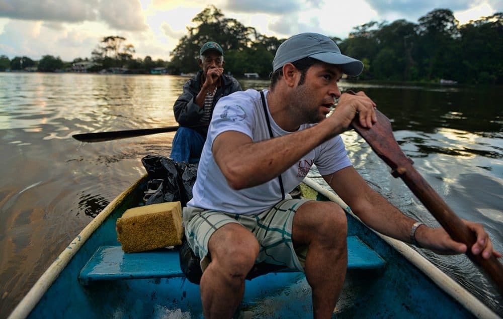 Costa Rican manatee conservation efforts highlighting endangered marine species