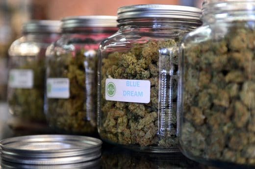 Lawmakers in Costa Rica ask government to speed up medical cannabis debate