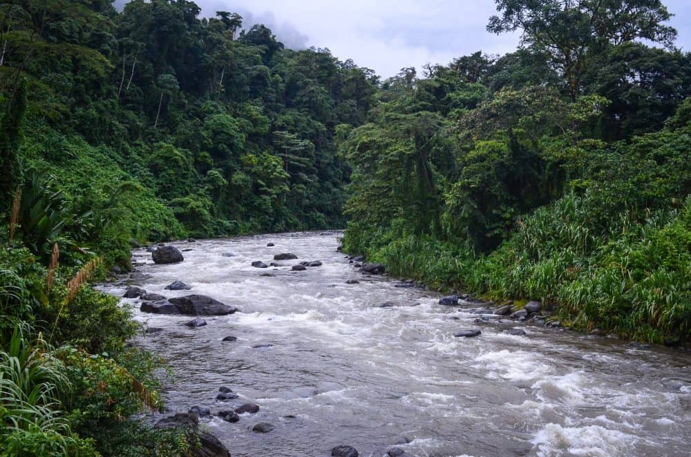 Remote wilderness on the trek to the Cabécar village in Costa Rica