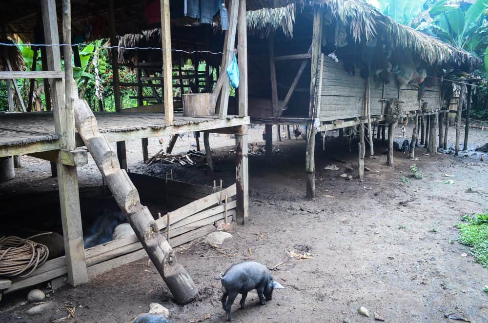 Traditional homes in Costa Rica's Cabécar village, Talamanca