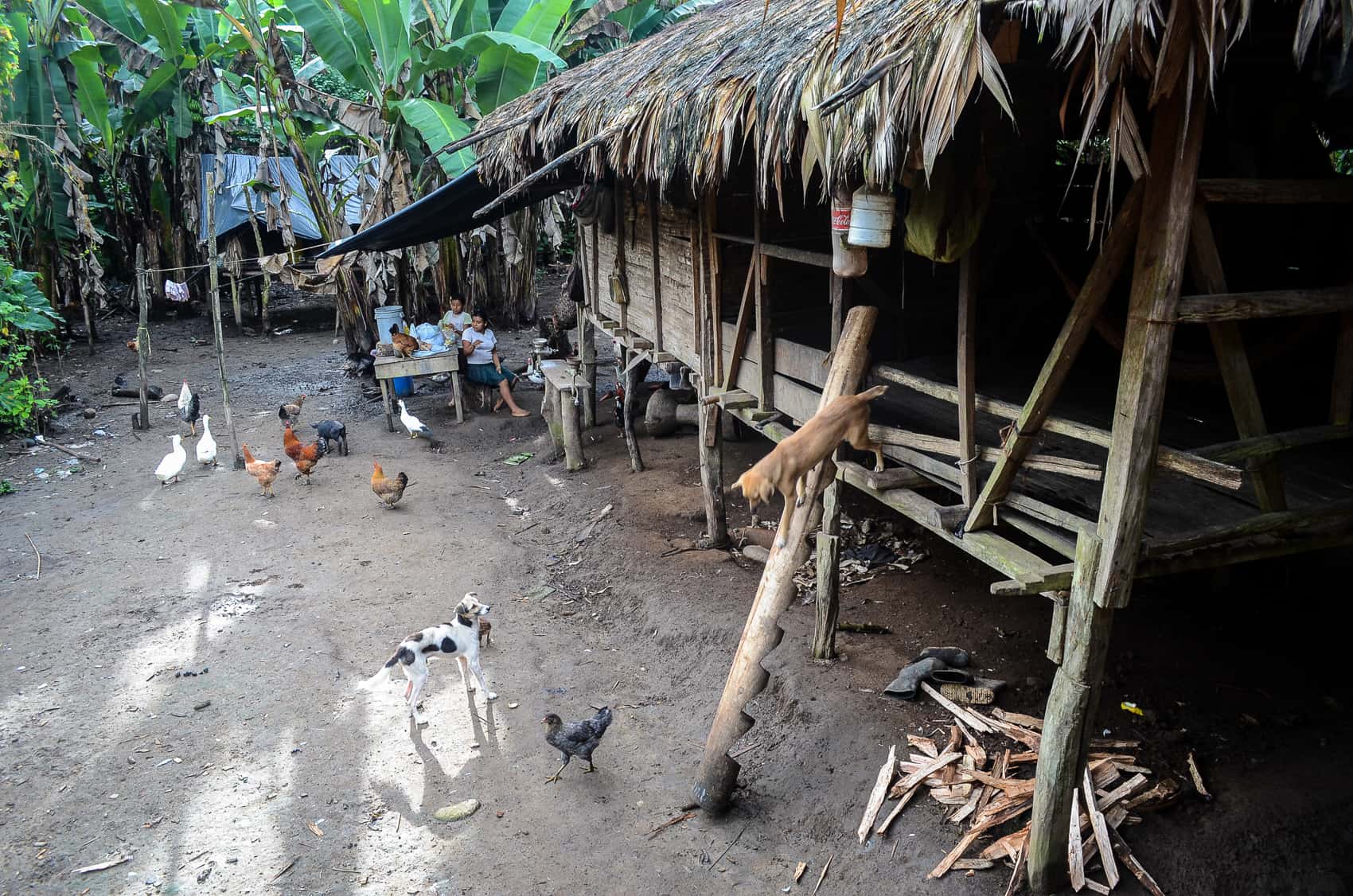 Costa Rica Cabecar Indigenous Tribe