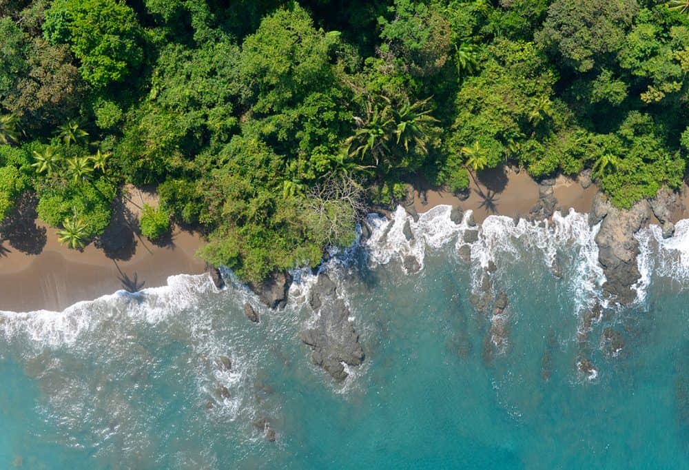 Missing US hiker Cody Dial's passport found with human remains in