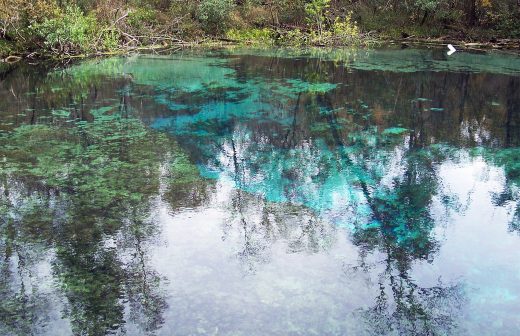 Ichetucknee Springs, Florida