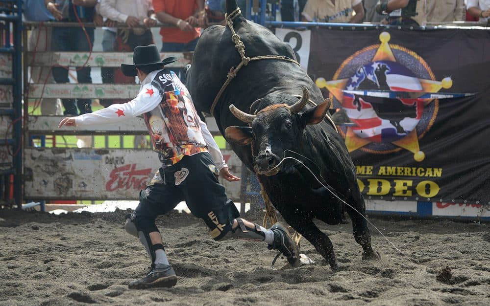 Costa Rica Rodeo