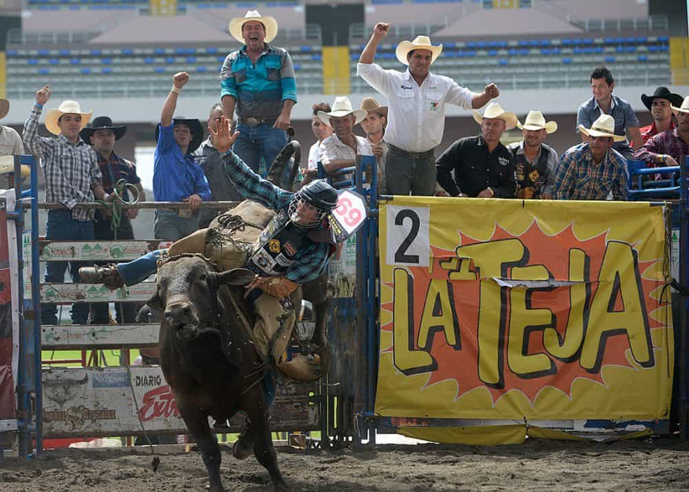 A Costa Rican cowboy riding a bull at a lively rodeo event