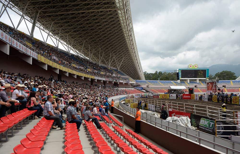 Crowd cheering as a bull charges at a rider during a Costa Rica rodeo