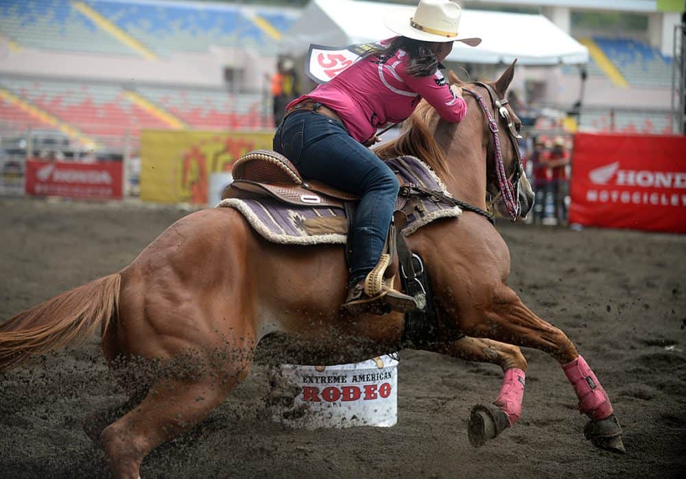 A Costa Rican cowboy riding a bull at a lively rodeo event