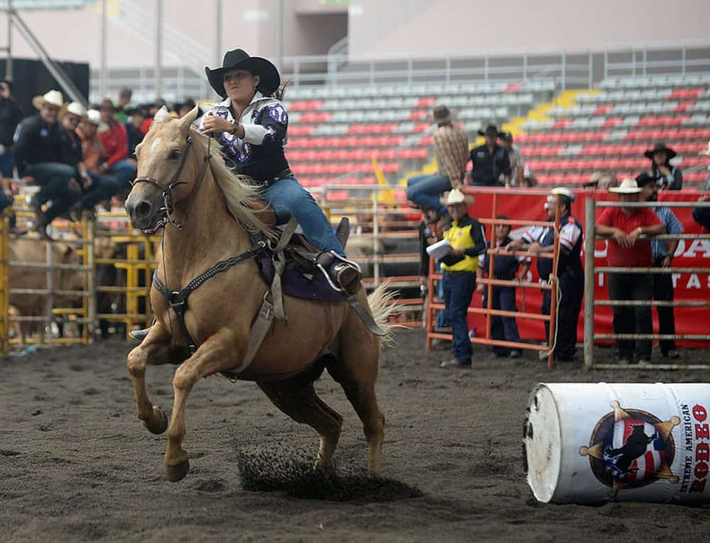 A Costa Rican cowboy riding a bull at a lively rodeo event