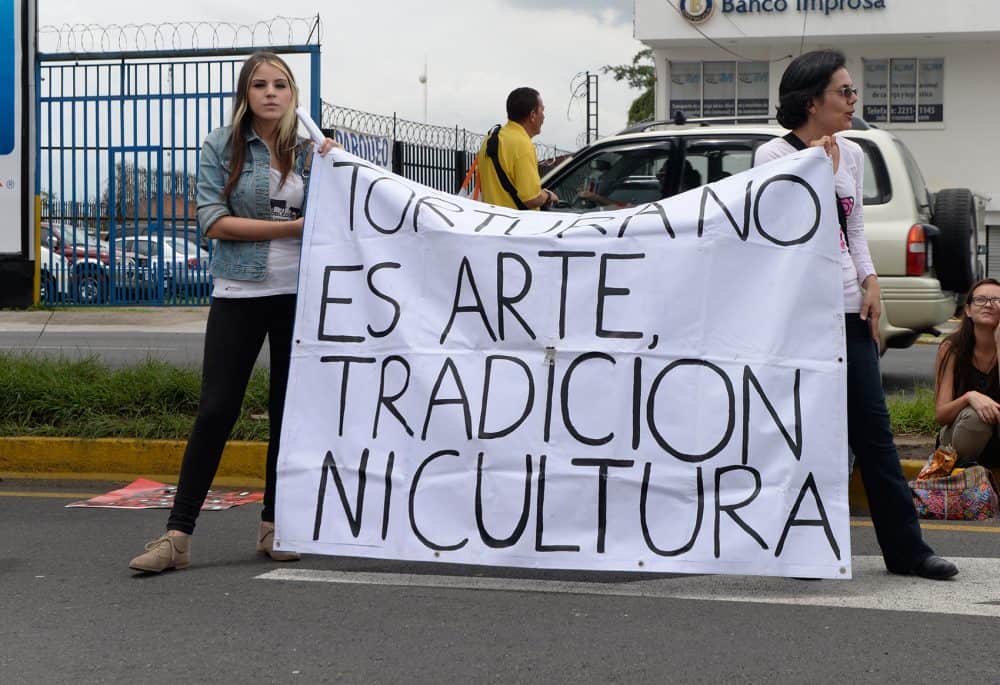 Costa Rica Rodeo Protestors