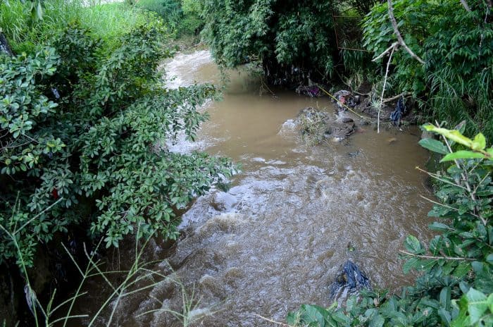 Río Torres festival aims to help clean up one of San José’s most ...