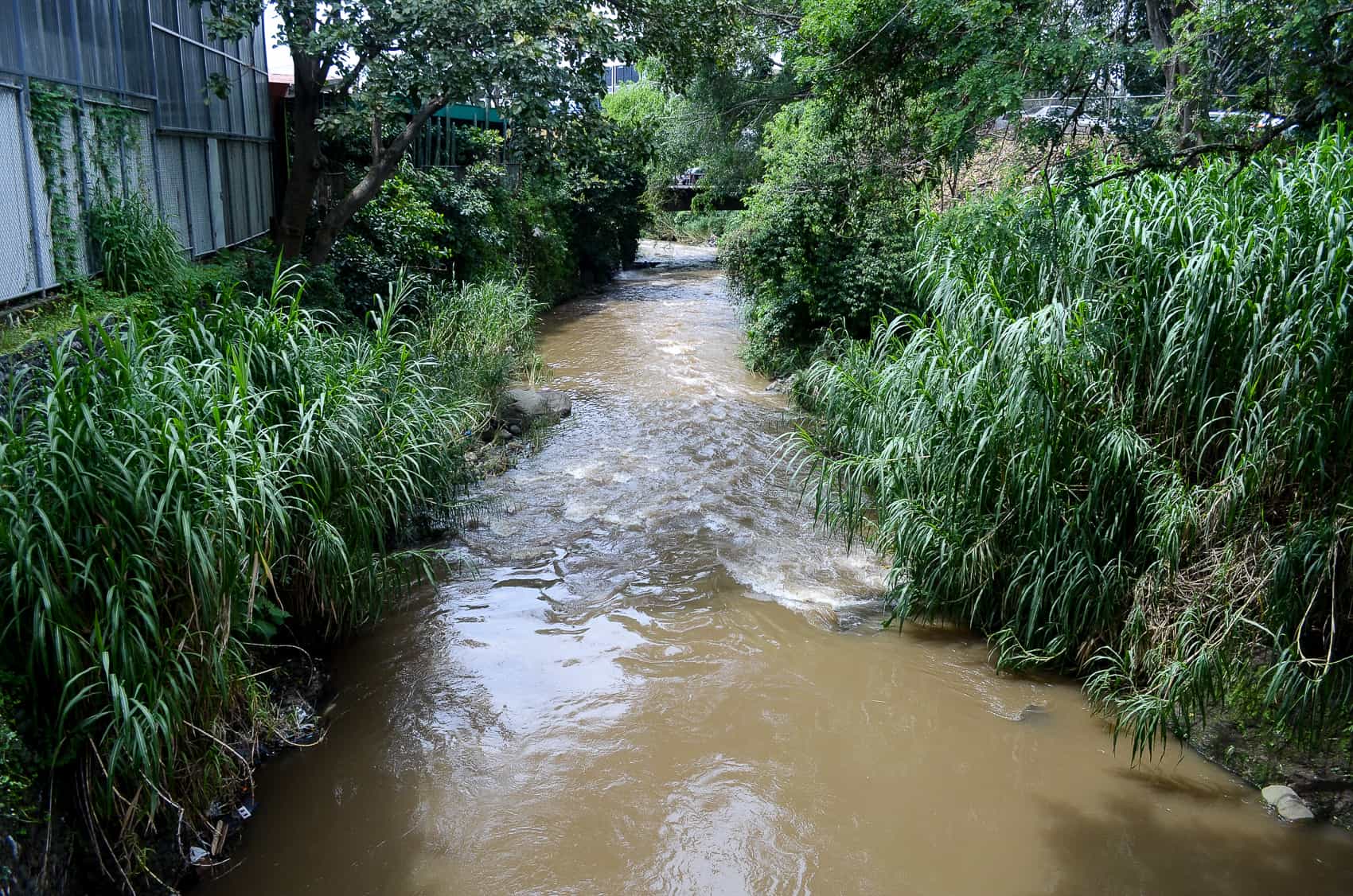 Costa Rica's Polluted Torres River