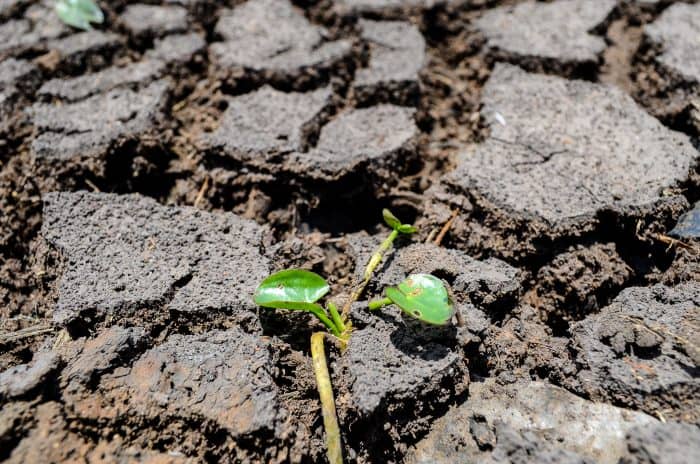 A drought in Guanacaste in August 2014 was the worst on record since 1950, according to the National Meteorological Institute.