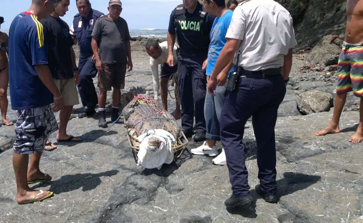 Costa Rica Crocodile Hunt