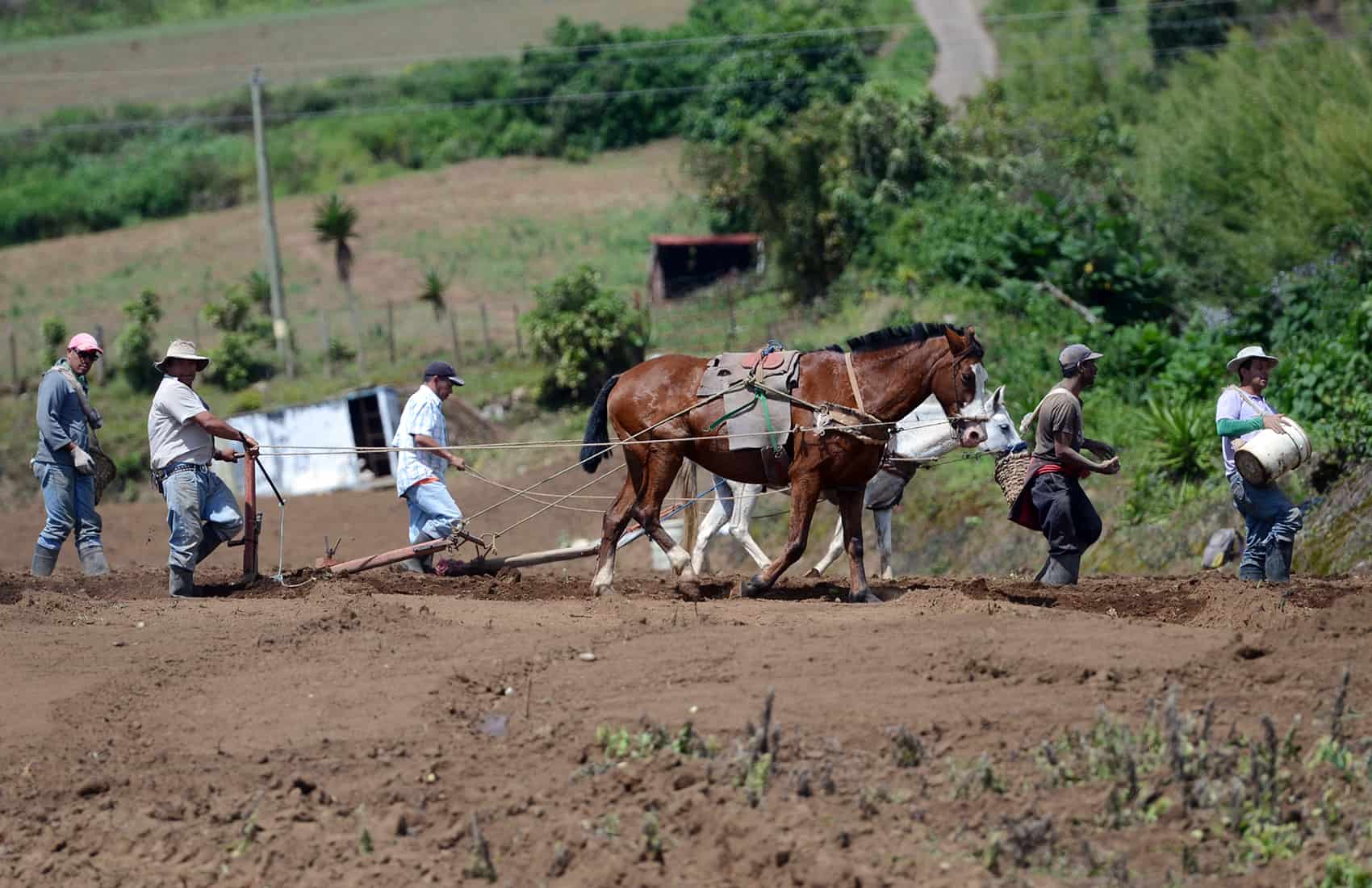 Farmers at Tierra Blanca, Cartago