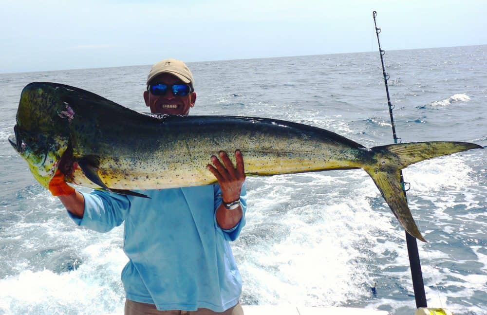 Costa Rica Sport Fishing Season in the South Pacific