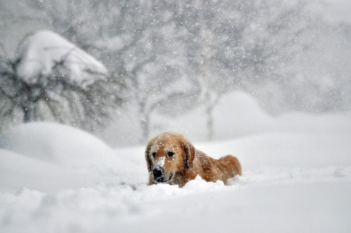 John Normile/Getty Images/AFP