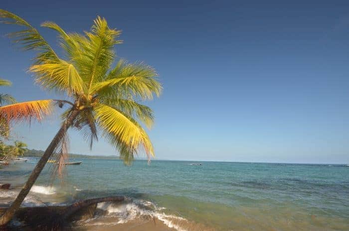 Costa Rica's Manzanillo Beach