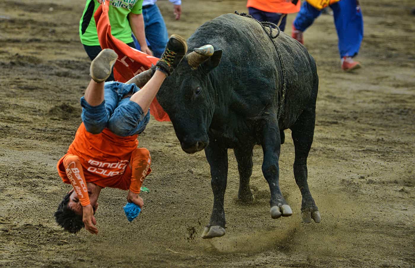 Bullfights in Costa Rica