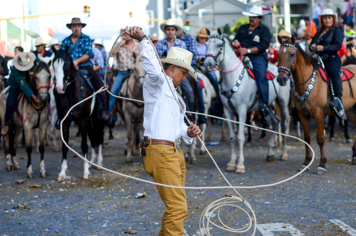 National Horse Parade 2014