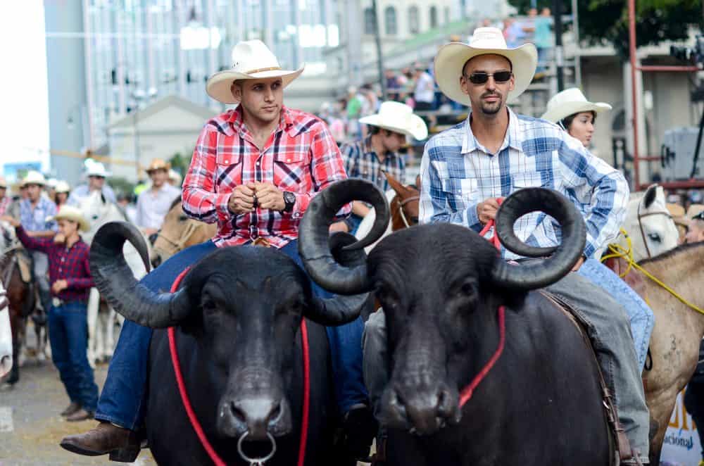 Bull riders at Costa Rica National Horse Parade in the capital San Jose