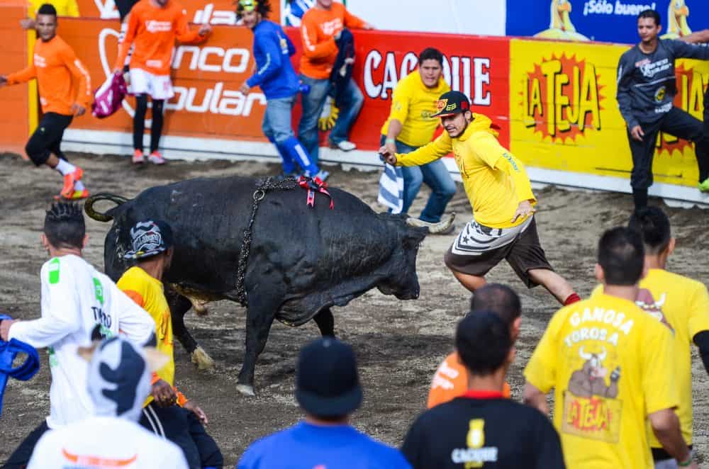 Costa Rica Zapote Bullfighting Festival